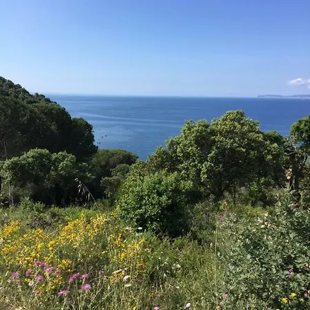 Studio De Charme Golf De St Tropez Apartment